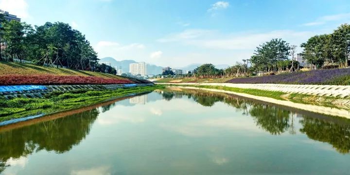 深圳坪山河綜合整治及水質(zhì)提升工程
